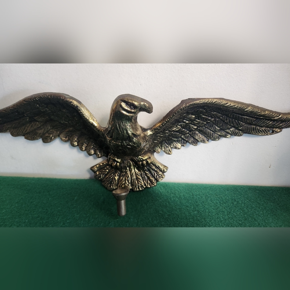 Brass Eagle 19" Bird Metal USA Hook Patriot Predator Animal Wall Door Decor